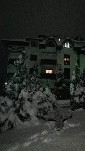 Apartment Centar Zlatibor